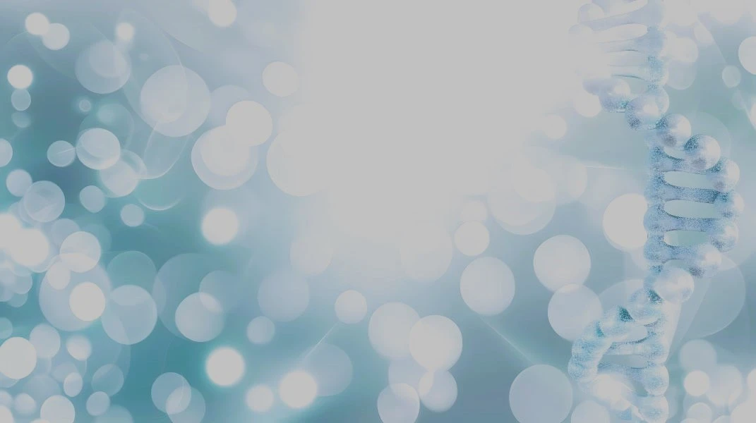 Simplified image of a DNA Molcule